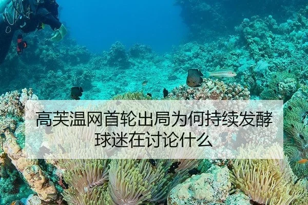 高芙温网首轮出局为何持续发酵 球迷在讨论什么